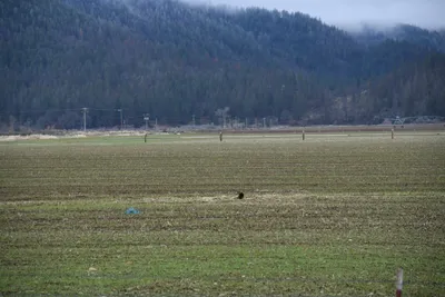 DSC_5853 (Large).JPG